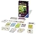The Castles of Burgundy Card Game