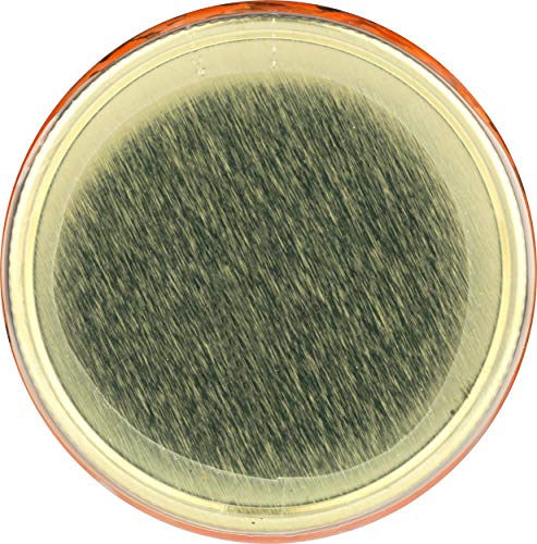 Hawthorne Valley Organic Raw Ginger Carrots, 16 Oz #TOP6