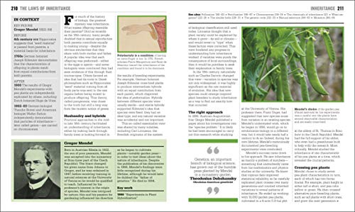 The Biology Book: Big Ideas Simply Explained (DK Big Ideas) - Image 9