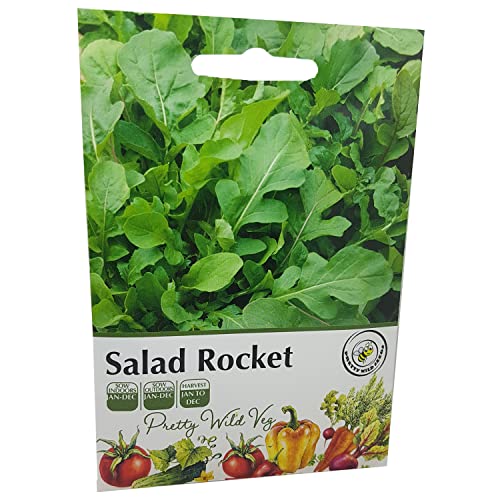 Vegetable Rocket Seeds Salad Rocket 2000 Seeds