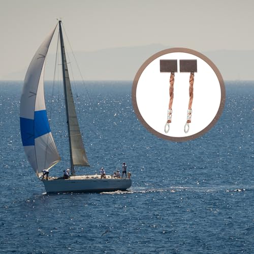 Escobillas de carbón para motor eléctrico marino que solucionan fallos de hélice 6