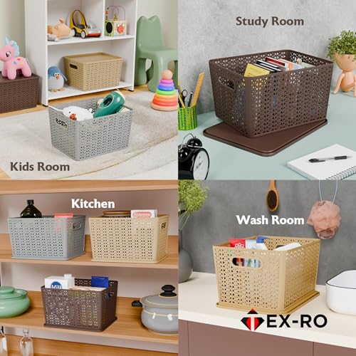 Image of TEX-RO Big Storage Box and Organiser | Storage & Organizers | Organizer Storage Box for Kitchen, Clothes | Durable Storage Basket With Lid & Plastic Basket for Storage (Pack of 3, multicolor)