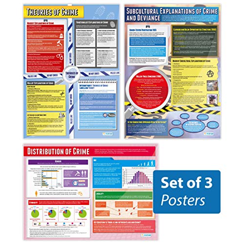 Ya en mundofriki.es: Daydream Education Carteles de crimen – Juego de 3 | Pósteres de sociología | Papel brillante de 850 mm x 594 mm (A1) | Carteles de clase de sociología | Gráficos educativos