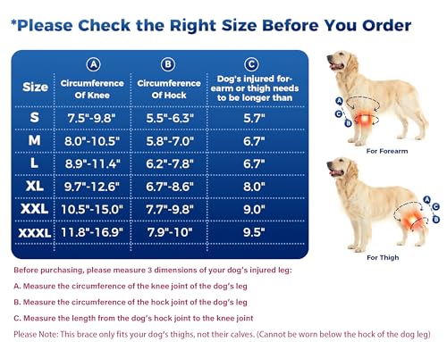 Image of Dog Knee Brace, Dog ACL Brace for Front Torn and Back Hind Rear Legs ACL Tear, Dog Hip Knee Leg Brace for Hip Dysplasia, Dog Arthritis, Luxating Patella, Comfortable and Adjustable - L