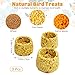 PINVNBY 3 PCS Parrot Treats Natural Oats & Corn Flakes Cockatiel Treats Bowl Shape Budgie Snacks Edible Bird Chewing Toys for Parrots Parakeet Conure Lovebird Finch Canary