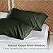 Bedsure Pillow Cases Queen, Cooling Pillow Cases, Rayon Derived from Bamboo Olive Green Pillowcases Queen Size Set of 2, Soft & Breathable Bedding Pillow Covers with Envelope Closure, 20x30 Inches