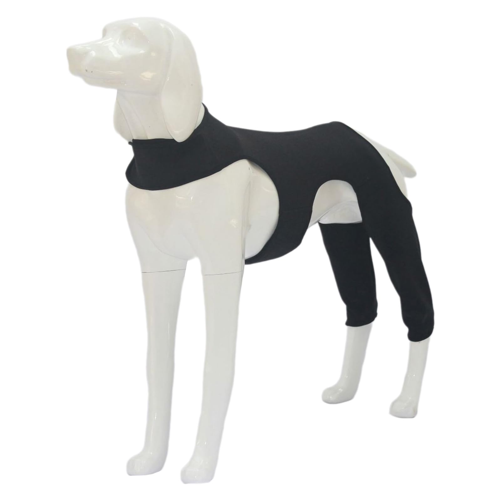 Leggings para perros para cuidar a tu mascota mayor de lesiones y calor