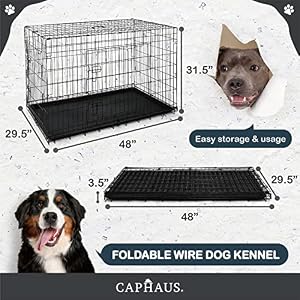 CAPHAUS Foldable Dog Crate Wire Metal Kennel w/Leak-Proof Pan & Protecting Feet & Divider Panel, Small, Medium & Large Indoor Cage, 48” w/Single or Double Doors CAPHAUS Foldable Dog Crate Wire Metal Kennel w/Leak-Proof Pan & Protecting Feet & Divider Panel, Small, Medium & Large Indoor Cage, 48” w/Single or Double Doors