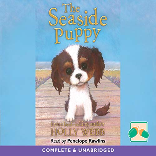 The Seaside Puppy by Holly Webb episode artwork