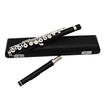 Amazon.co.jp: DZDZDZ フルートキット 高級フルート黒檀フルート