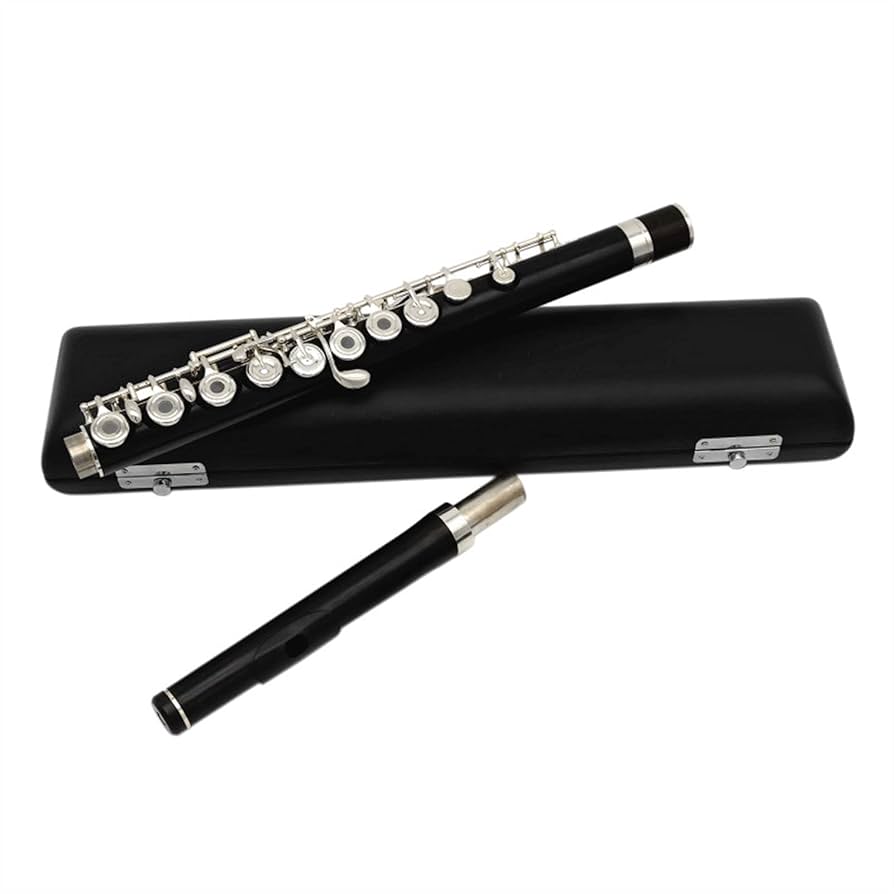 フルート【美品】 Amazon.co.jp: プロフェッショナル フルート ローズウッド 17