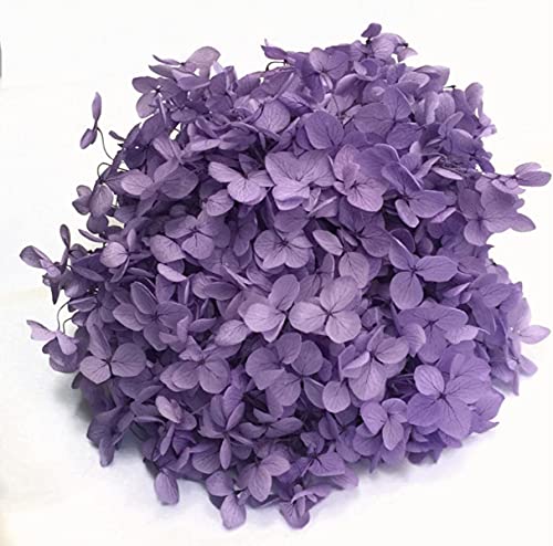 4-4,5 g / Los Hochwertige natürliche frische konservierte Blumen getrocknete Hortensie-Blütenkopf für DIY echtes ewiges Leben Blumen Material-30 Cover