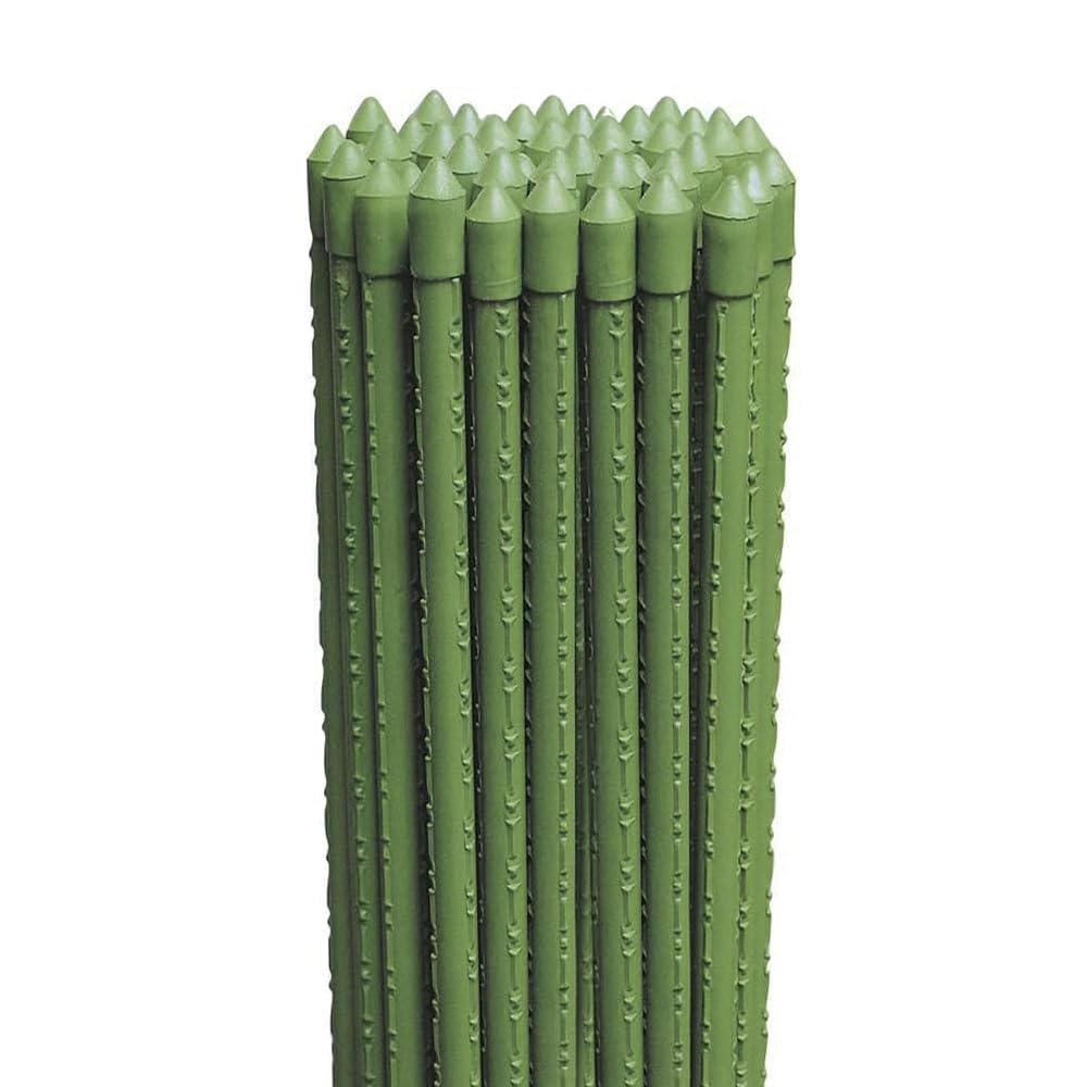 Virsus 25 Canne in Acciaio con Rivestimento in Plastica Verde, Lunghezza 150 cm, diametro 11 mm, Stecche Sostegno per piante Rampicanti, Ortaggi, Pomodori, per giardino, orto -6401F