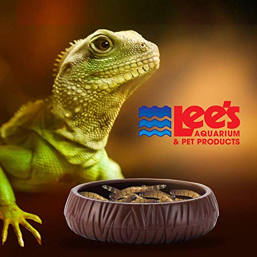 Lee's Pet Products SLE20165 Plastic Pet Mealworm Dish, 3-Inch - Image 3