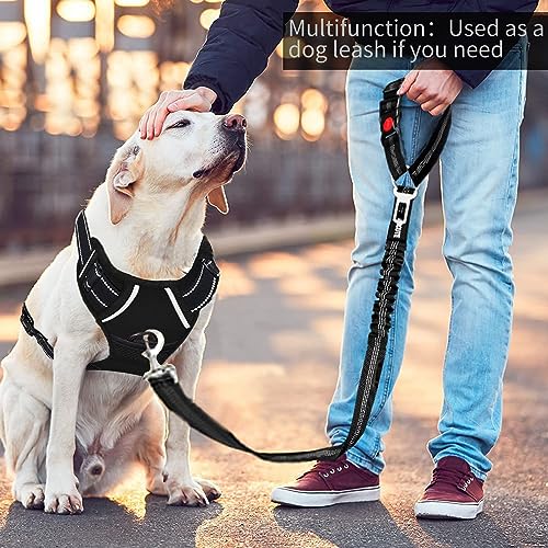 CEASELESLY 2 Stück Hund Kofferraum anschnallen,Hundeanschnaller fürs Auto,Reise & Transport für Hunde,mit Elastischer Ruckdämpfung und Starke Karabiner für alle Hunderassen Katzen