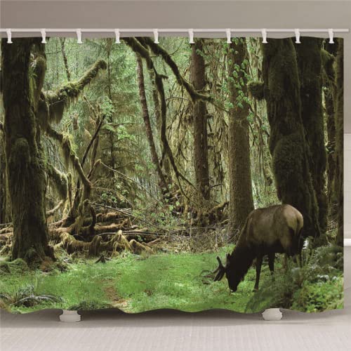 XWJASD Cortina de Ducha 180 x 200 cm Bosque primaveral Cortinas de Ducha Cortina Baño Antimoho Cortina Ducha Infantil Poliester Cortina De Baño Cover
