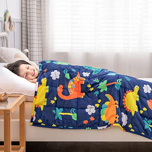 Insugar Kids Weighted Blanket 3Lbs, 36" X 48", Dinosaur Fleece Minky Dots Toddler Heavy Blanket For Sleeping Calm, Dual Sided Soft Cozy Children Lap Blankets Throw, Gift For Boys And Girls, Blue #TOP6