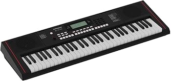 Amazon | Roland ローランド/E-X10 [オプションセット！] Arranger