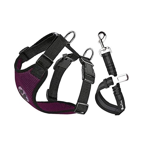 SlowTon Dog Car Seat Belt Harness, Puppy Harness Safety Vest Seatbelt with Restraint Lead Clip Adjustable Strap for Pet Travel Walking Daily Use .(Burgundy, XX-Small) SlowTon Dog Car Seat Belt Harness, Puppy Harness Safety Vest Seatbelt with Restraint Lead Clip Adjustable Strap for Pet Travel Walking Daily Use .(Burgundy, XX-Small)