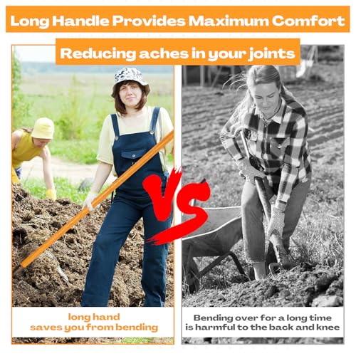 Lanties 4 Sets Pitch Fork 10 Tines Wide Manure Fork with Long Handle Heavy Duty Muck Rake Broadfork Garden Tool for Gardening Horse Stall Picking up Manure Farm - Thumbnail 4