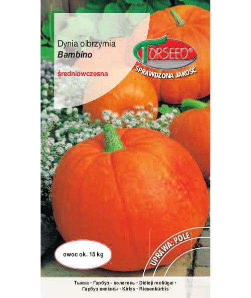 Verdica Semillas de calabaza gigante de Bambino Cucurbita maxima – Variedad media de alto rendimiento, pulpa naranja brillante, rica en caroteno y vitamina C, 15 kg de frutas, fácil de cultivar (5