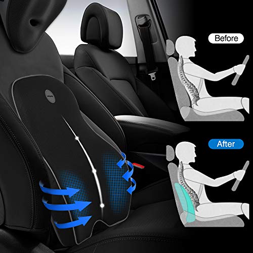 Winjoy Lumbar Support Pillow for Office Chair, Memory Foam Ergonomic Orthopedic Backrest Back Cushion Pillow for Wheelchair, Car, Computer and Desk Seat-Lower Back Pain Relief