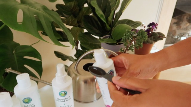 Ultimate Houseplant Care Variety Bundle miniatura 7