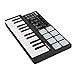 ammoon Worlde Panda mini Portable Mini 25-Key USB Keyboard and Drum Pad MIDI Controller
