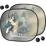 Pets-easy Pare Soleil Chien pour Voiture de Malinois de beauté