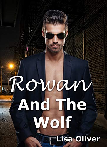 Télécharger Rowan and The Wolf: A standalone MM wolf shifter story (English Edition) PDF Ebook En Ligne