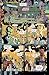 Star Wars: Hyperspace Stories Volume 3--Light and Shadow