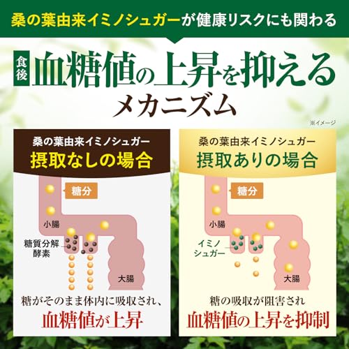 新日本ヘルス 血糖値・脂肪のWケア サプリ 60粒