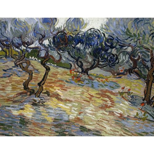 Van Gogh Oliviers idée cadeau toile d'art 101,6 x 127 cm à encadrer