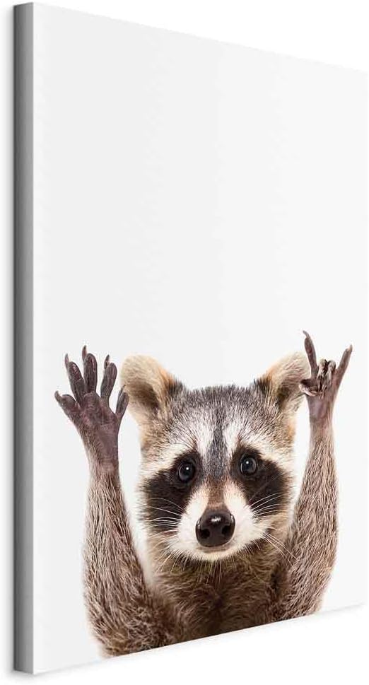 artgeist Acoustic Canvas Wall Art Print Animals 24x35 in - 1pcs Picture with Acoustic Foam Sound Print Artwork Room Acoustics Soundproofing â€“ Racoon g-B-0097-b-a