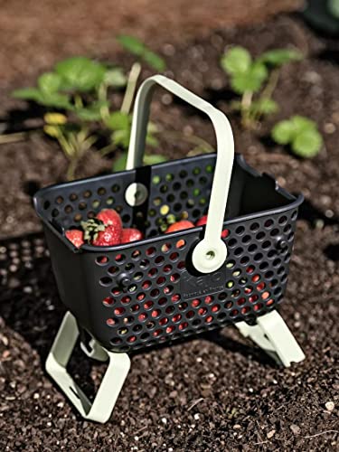 Gardener's Supply Company Multipurpose Mini Garden Basket | Mini Mod Hod For Collecting, Carrying, and Cleaning | Folding Legs and Handle | 9.5