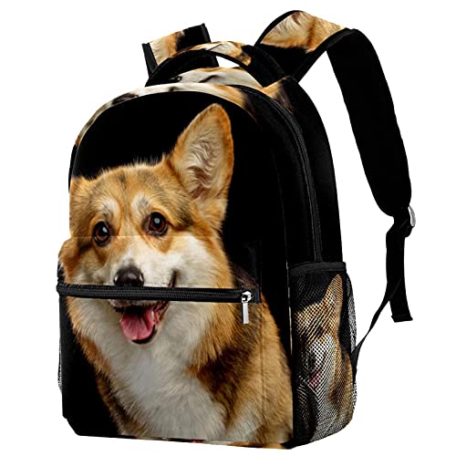 Mochila escolar de Corgi ideal para campus universitario y paseos de fin de semana