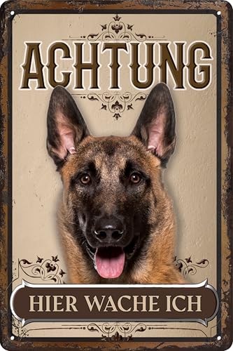 30 x 20 cm wetterfestes Blechschild, Warnhinweis, Torschild, Achtung, hier Wache ich! Warnung vor dem Hund (Belgian Malinois)