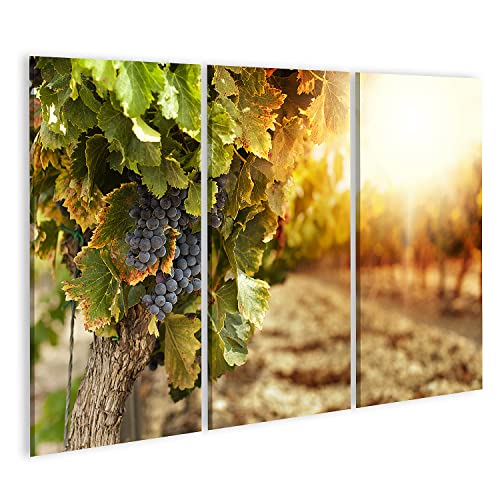 Coucher de soleil sur les vignes tableau décoration salon moderne