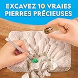 pierre perret mort DÉMARRAGE COLLECTION ROCHE - Bloc d'excavation Super Gemmes, parfait pour initier enfants à collection de roches ! Kit encourage émerveillement, passion sciences terrestres, alors enfants extraient gemmes et découvrent.