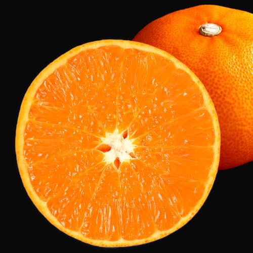 みかん の大トロ せとか 1.5kg 訳あり 和歌山 有田みかん オレンジ フルーツ