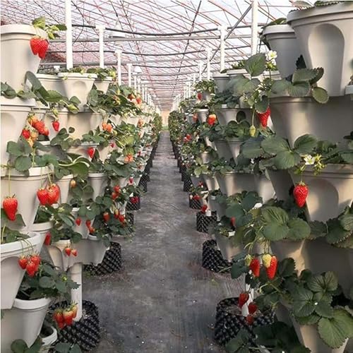 Pot de fleurs vertical empilable 6 niveaux plastique pour culture de poivrons - 8
