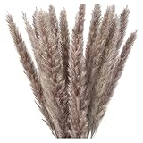 WUBZSHI Kunstblumen 15 stücke getrocknete Pampas Gras künstliche Pflanzen verzweigung Pampas Gras phragmiten for Blume vase füllstoffe Hochzeit wohnkultur (Color : 2, Size : 15Pcs)