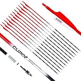 LWANO Carbon Arrow Archery 30inch Hunting Target Practice Arrows for Compound & Recurve Bow Spine 500 with Removable Tips (Pack of 12)(Red)