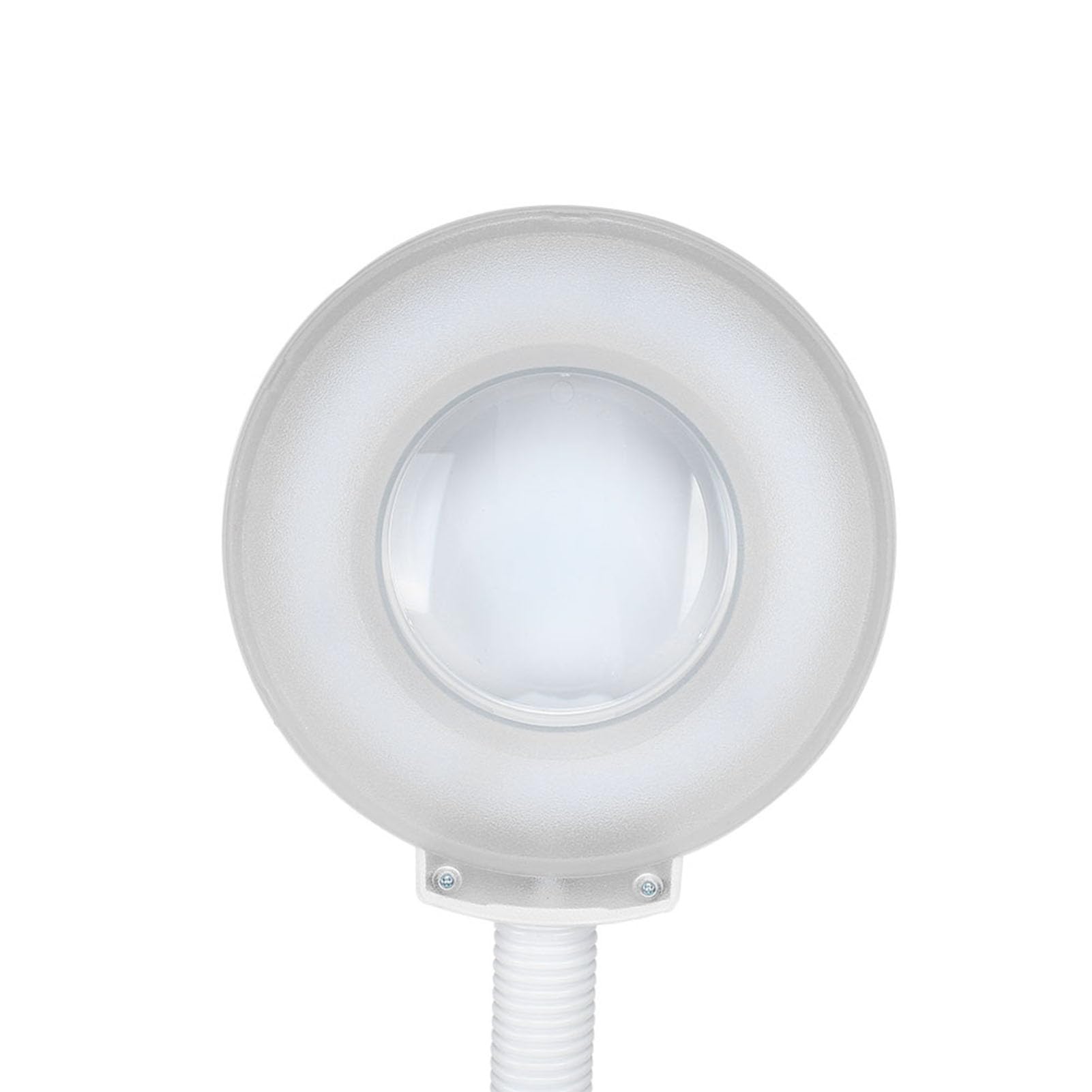 FILFEEL Lámpara de pie con Lupa, lámpara LED de luz fría con Aumento de 8 aumentos para esteticistas, lámpara de pie Ajustable con Lupa para Leer, Manualidades, Costura, Trabajo, Tatuaje