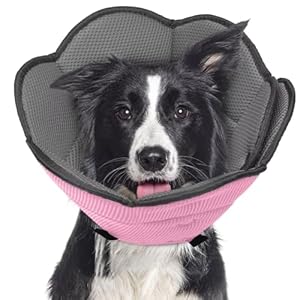 Dog Cone for Dogs After Surgery,Adjustable Protective Dog Recovery Collars & Cones for Large Medium Small Dogs Cats,Comfy Soft Dog Cones Prevent Pets from Touching Stitches Rashes,Wounds,Pink,M Dog Cone for Dogs After SurgeryAdjustable Protective Dog Recovery Collars Cones for Large Medium Small Dogs CatsComfy Soft Dog Cones Prevent Pets from Touching Stitches RashesWoundsPinkM