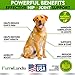 FurroLandia Hemp Hip & Joint Supplement for Dogs - 170 Soft Chews - Made in USA - Glucosamine for Dogs - Chondroitin - MSM - Turmeric - Hemp Seed Oil - Natural Pain Relief & Mobility - Bacon Flavor