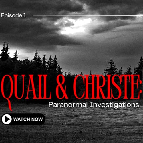 『Episode I - A Drunken Pair of Twats.』のカバーアート