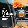 Febreze Car Air Freshener, Odor-Fighting Automotive Vent Clip, Scented Car Accessories, Long Lasting for Strong Odors, Hawaiian Aloha Scent, 4 Count #3