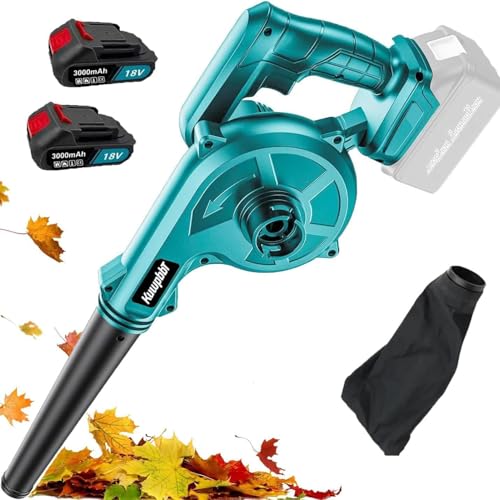 Cordless Leaf Blower Vacuum Combo with 2 Batteries
