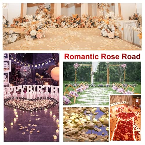 Image of 300PCS Fake Rose Petals for Romantic Night Romantic Festive Atmosphere Creation for Marriage Proposa Wedding Valentine's Day Decoration Party Activities (Black)